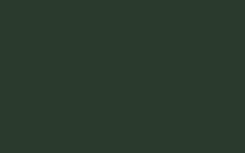 Git worktree terminal output
